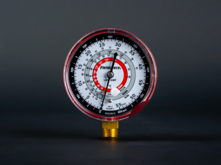 RGS29 CH 001