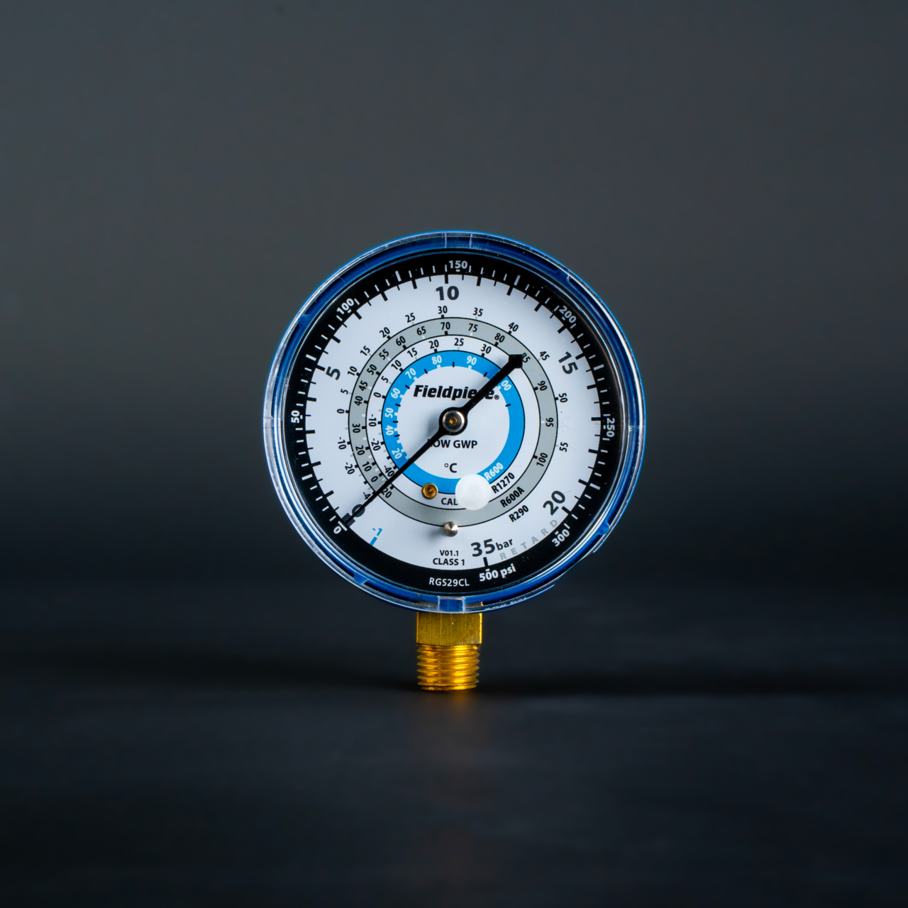 RGS29 CL 001
