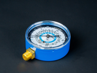 RGS29 CL 002